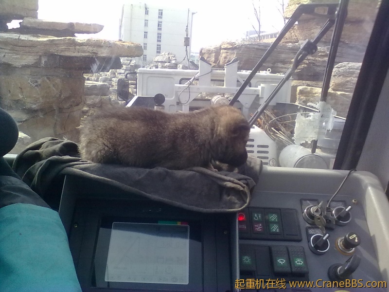 20120318823.jpg