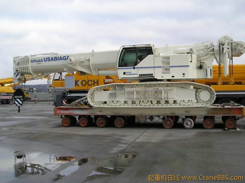 05klrolwe98.jpg