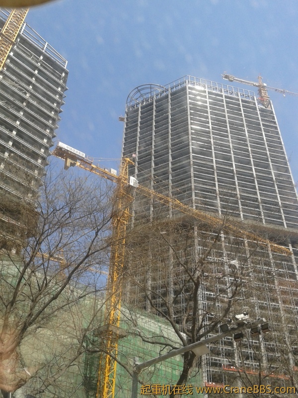 2012-03-23 12.48.44.jpg