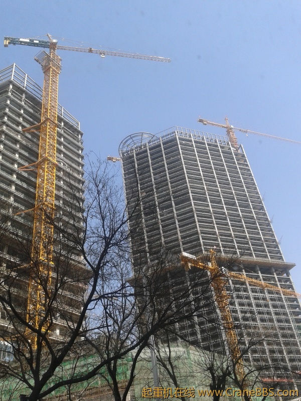 2012-03-23 12.48.32.jpg