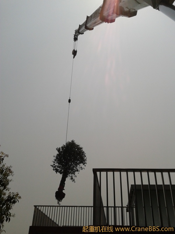 2012-03-26 11.47.43.jpg