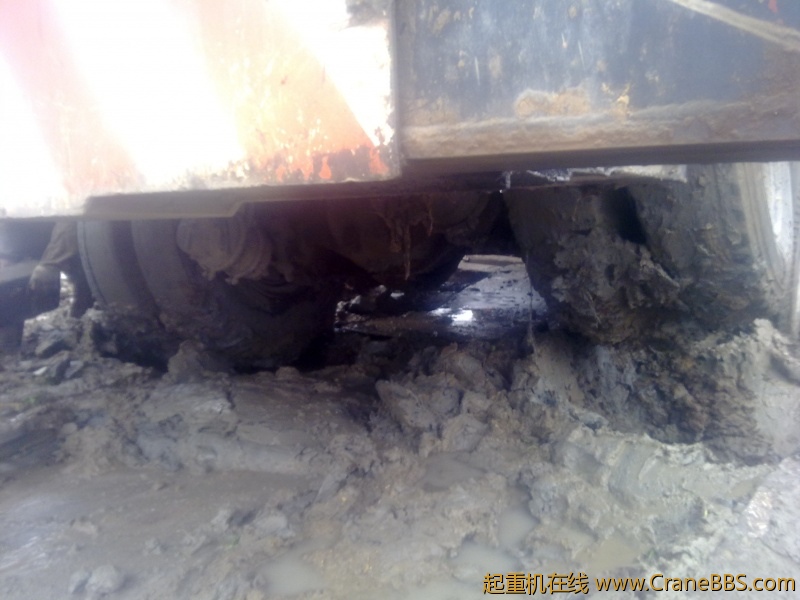 20120323442.jpg