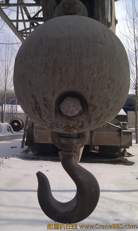 IMAG0049.jpg