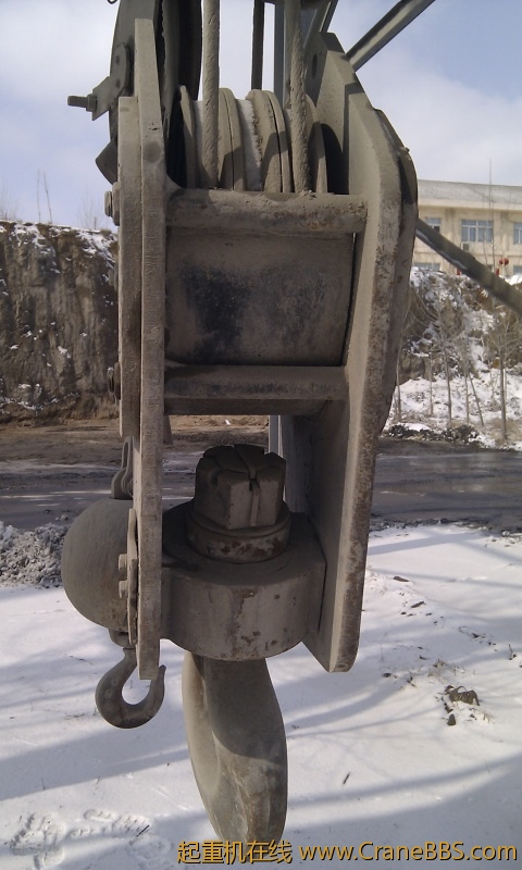 IMAG0050.jpg