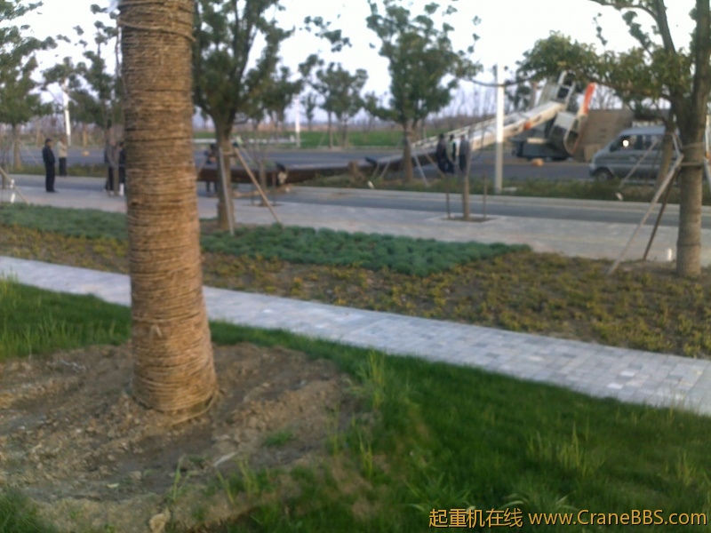 图像295.jpg