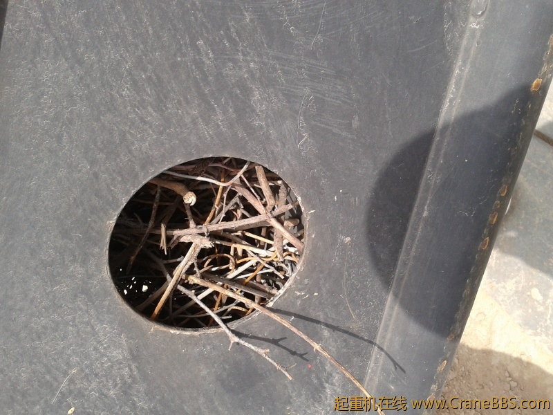 2012-03-31 15.14.56.jpg