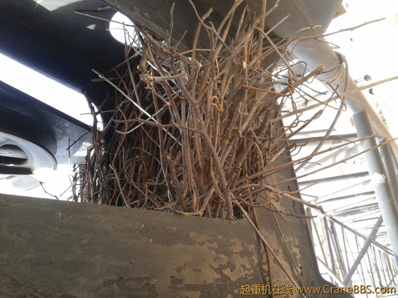 2012-03-31 15.15.07.jpg