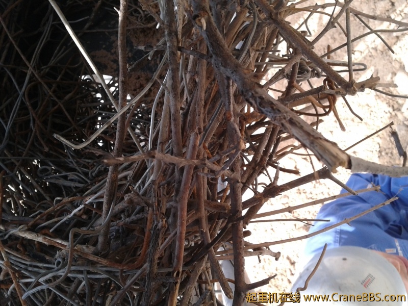 2012-03-31 15.15.18.jpg