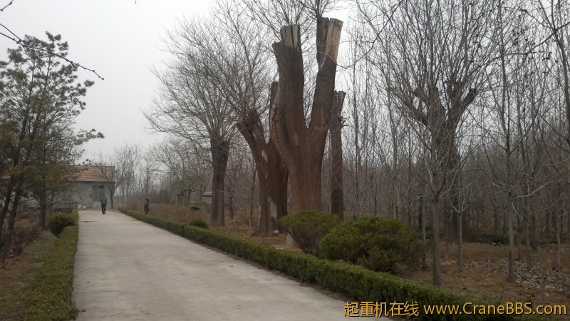 20120402135.jpg