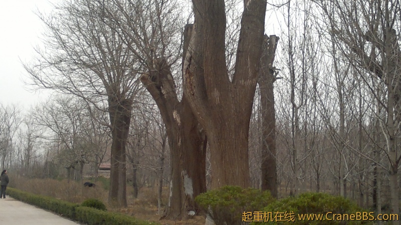 20120402136.jpg