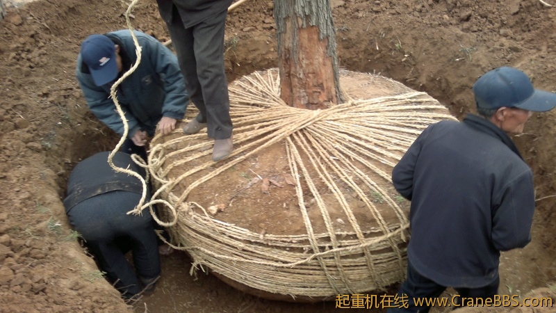 20120402137.jpg