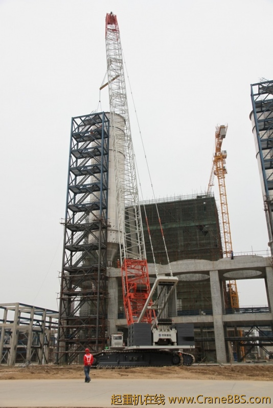IMG_6024_conew1.jpg