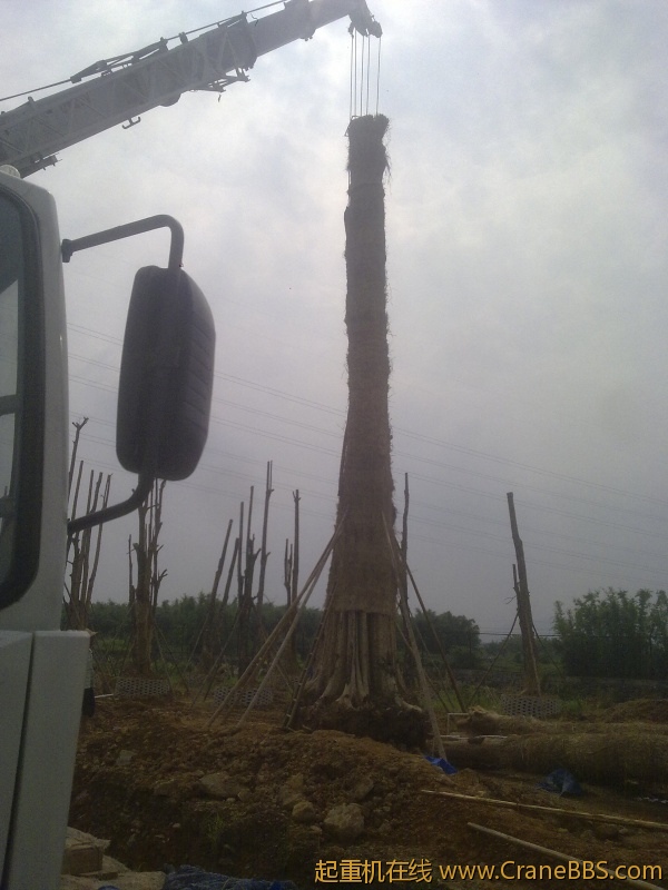 20120517848.jpg