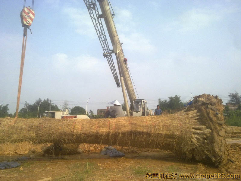 20120517851.jpg