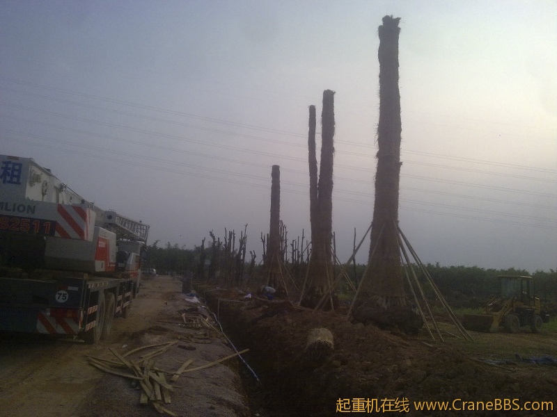 20120517854.jpg