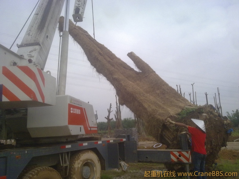 20120518856.jpg