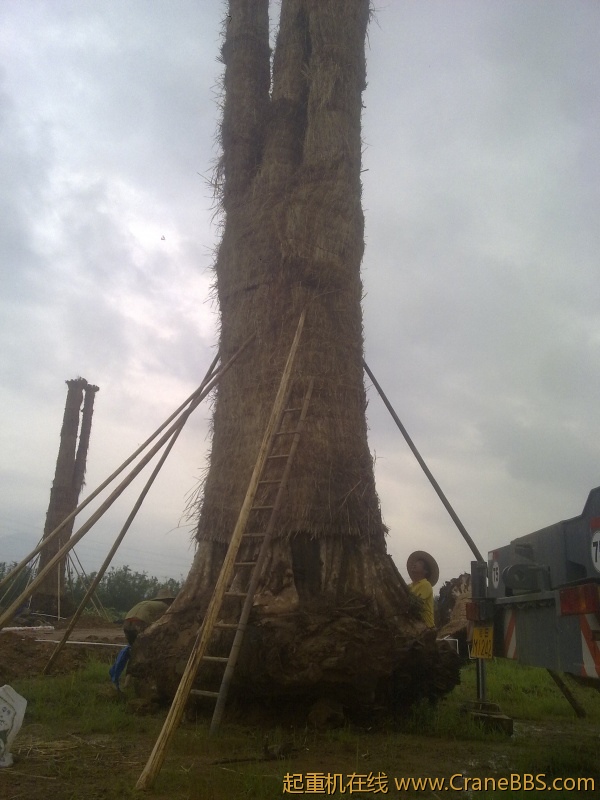 20120518859.jpg