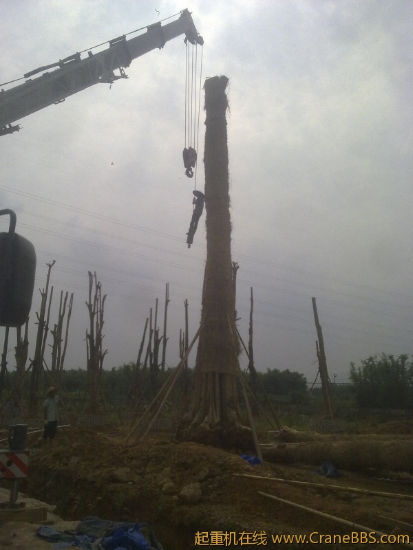 20120517847.jpg