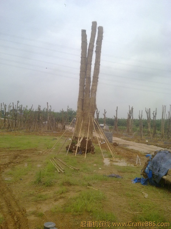 20120518861.jpg
