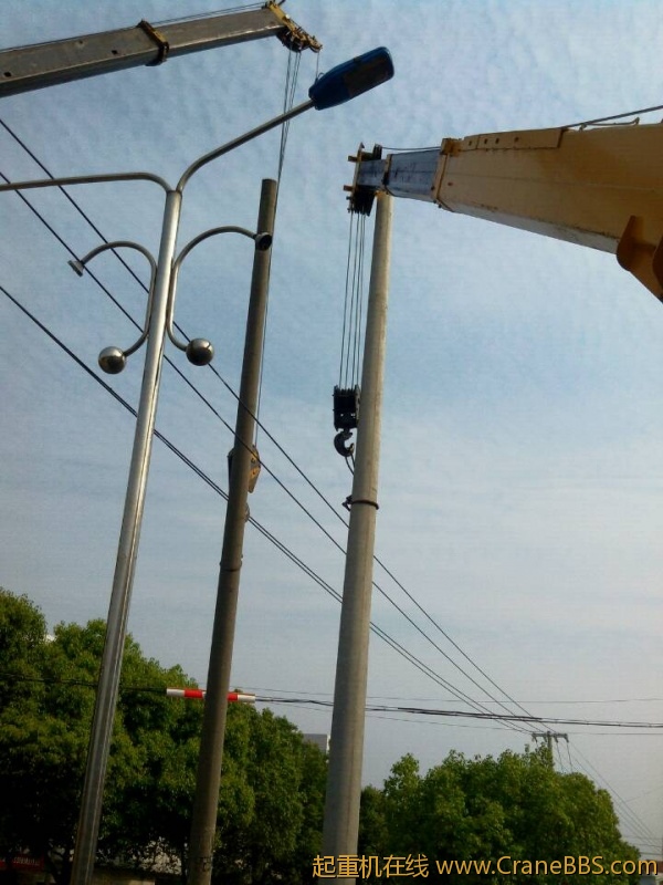 lvminghua4568hl110maomao733012.jpeg
