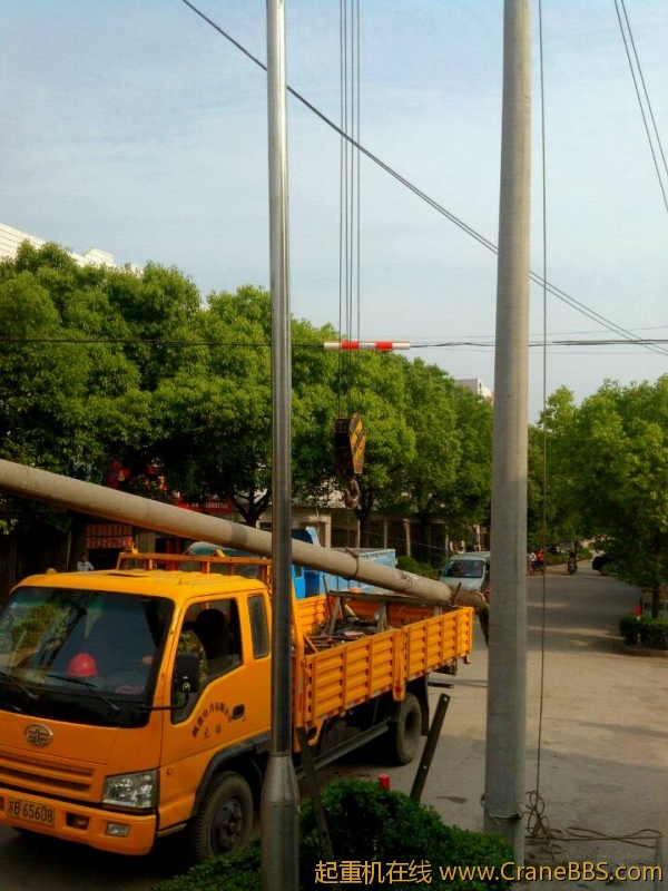 lvminghua4568hl110maomao733019.jpeg