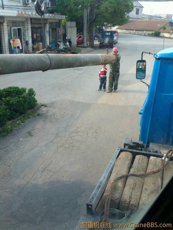 lvminghua4568hl110maomao733056.jpeg