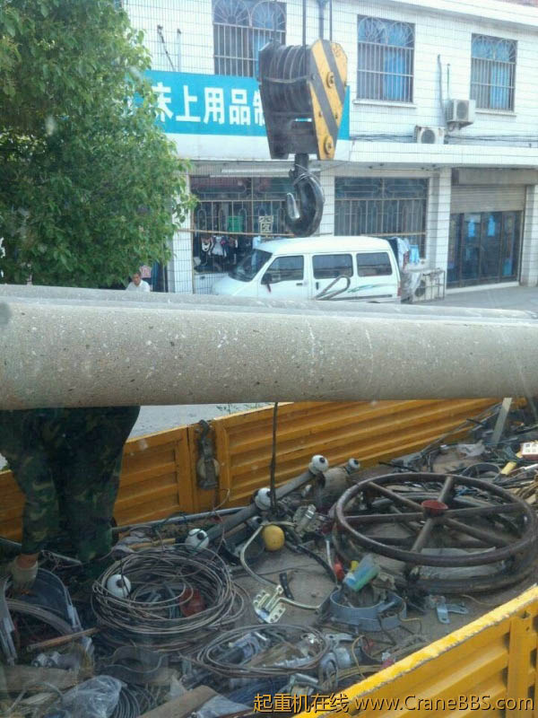 lvminghua4568hl110maomao733059.jpeg