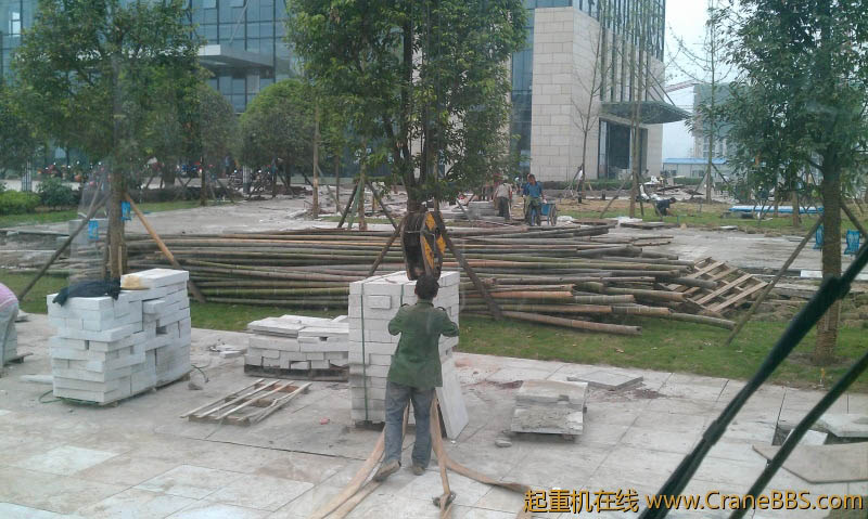 IMAG0059.jpg