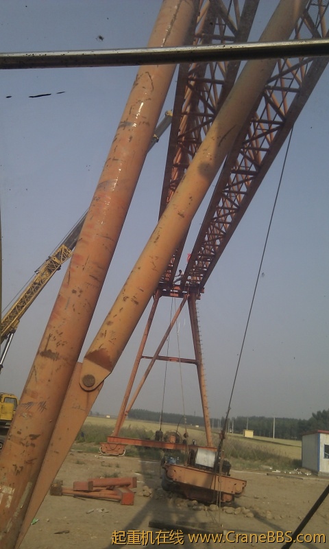 IMAG0133.jpg