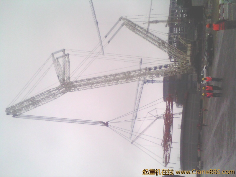 IMG0036A.jpg