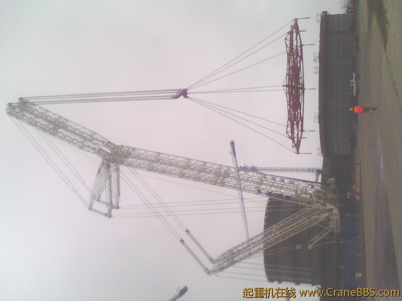 IMG0039B.jpg