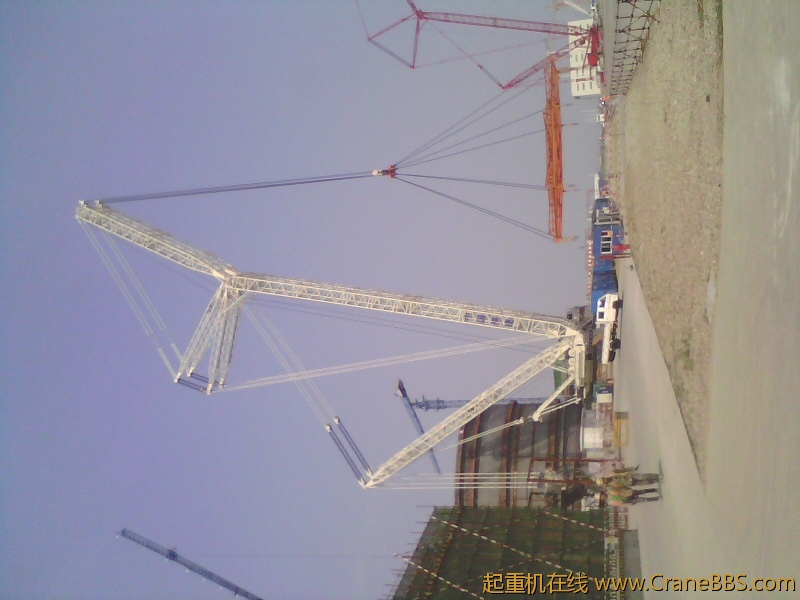 IMG0023B.jpg