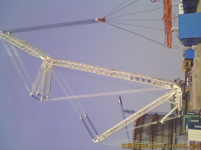 IMG0025B.jpg