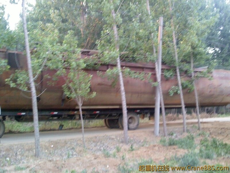 IMG0564A.jpg