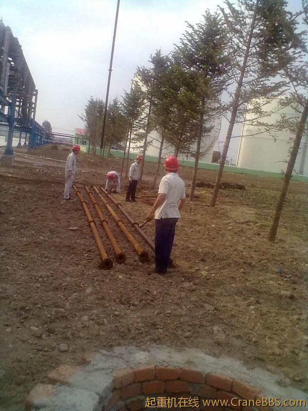 20120529259.jpg