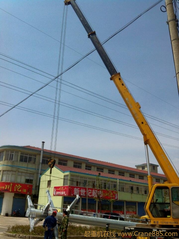 lvminghua4568hl110maomao735711.jpeg