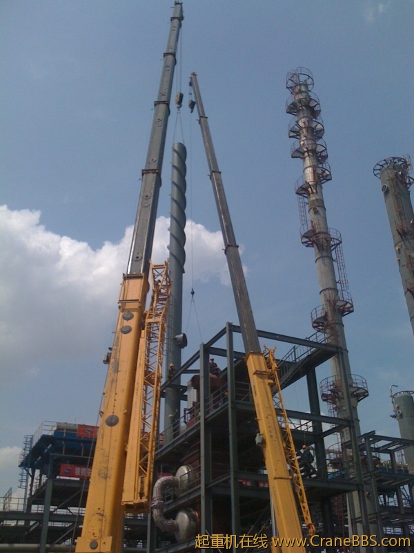 手机照片 7707.jpg