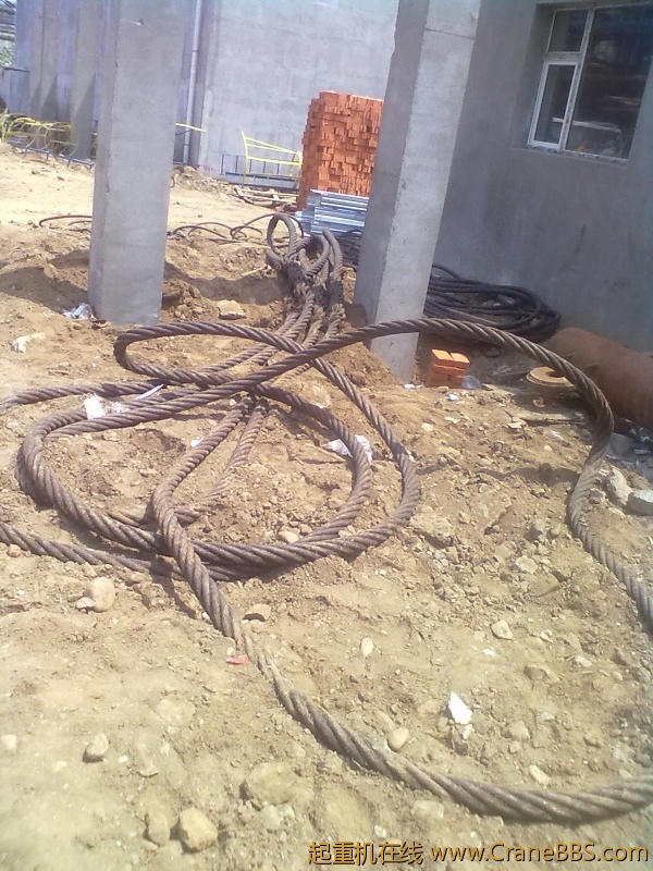 20120601311.jpg