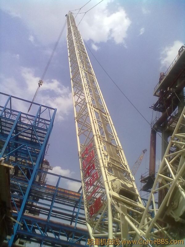 20120601319.jpg