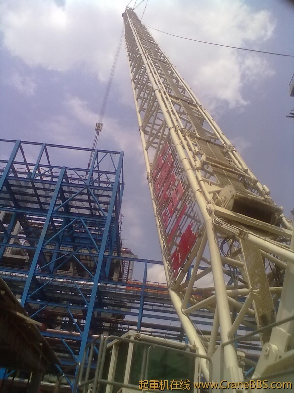 20120601331.jpg