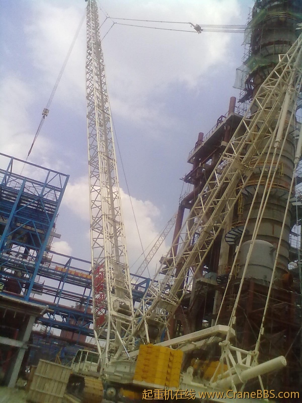 20120601340.jpg