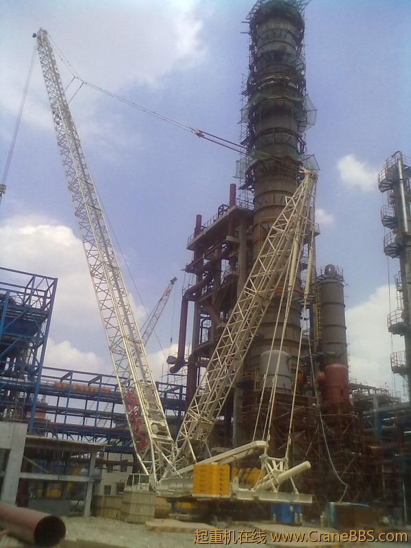 20120601341.jpg