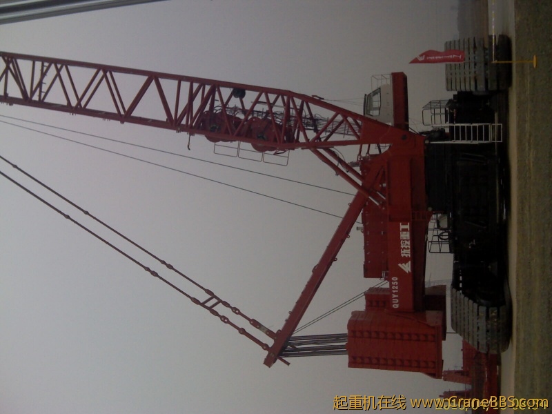 IMAG0032.jpg