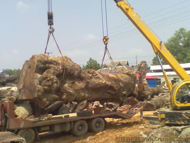 20120605007.jpg