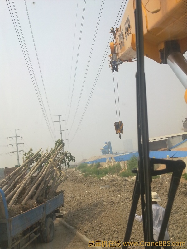 20120605177.jpg