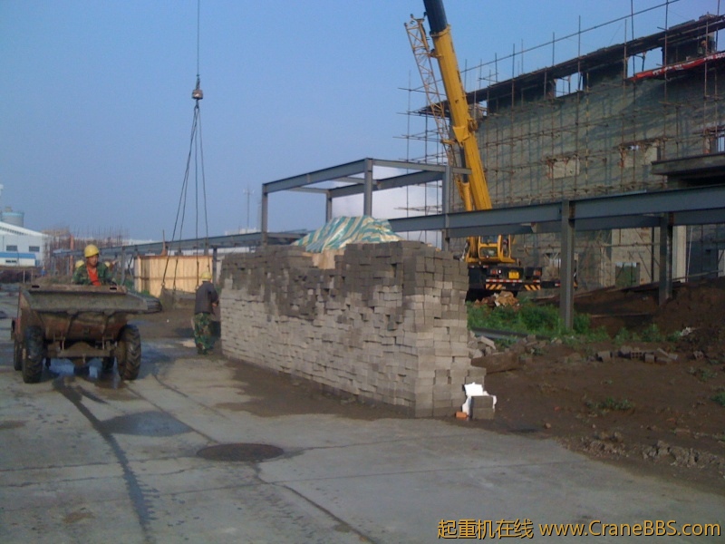 手机照片 7755.jpg