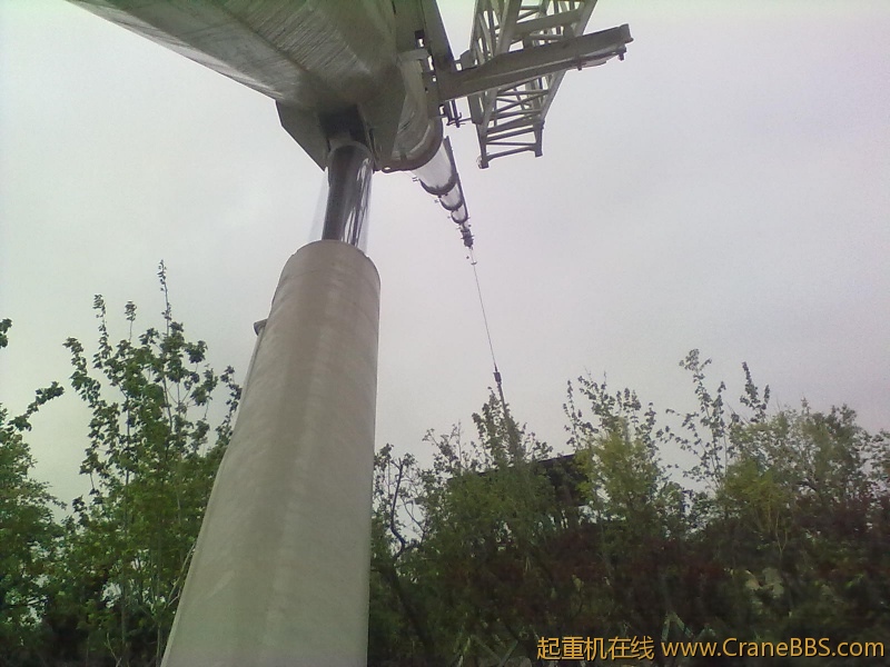 20120513919.jpg