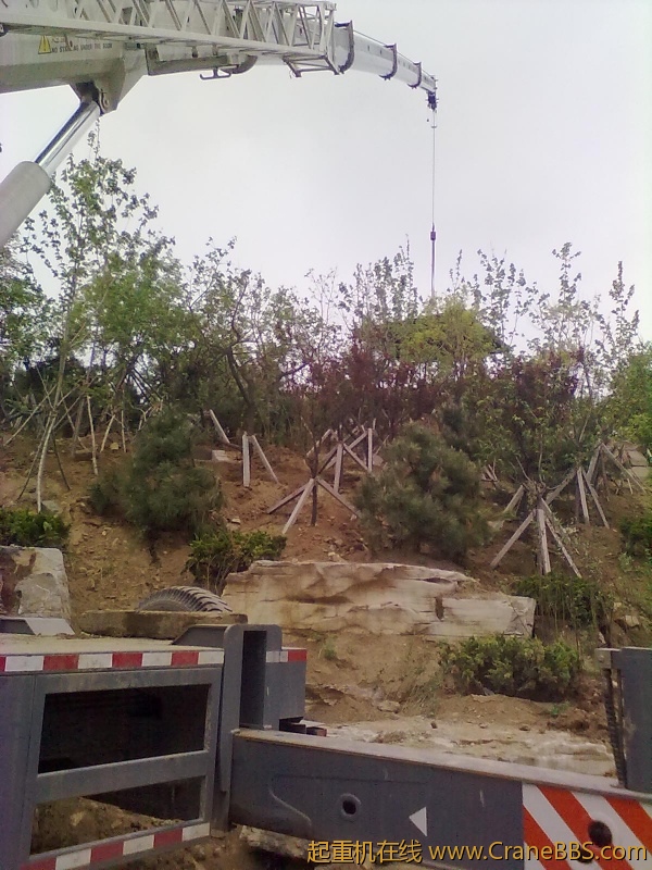 20120513915.jpg