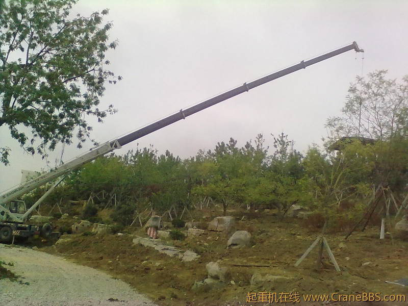 20120513916.jpg