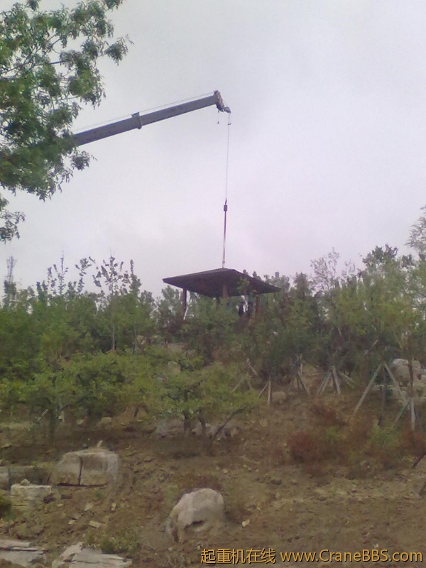 20120513917.jpg